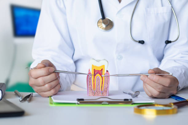 Best Broken or Chipped Tooth Repair in Copperas Cove, TX